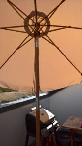 WP_20160417_16_39_21_Rich
