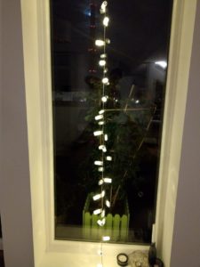photo5370672599115343957
